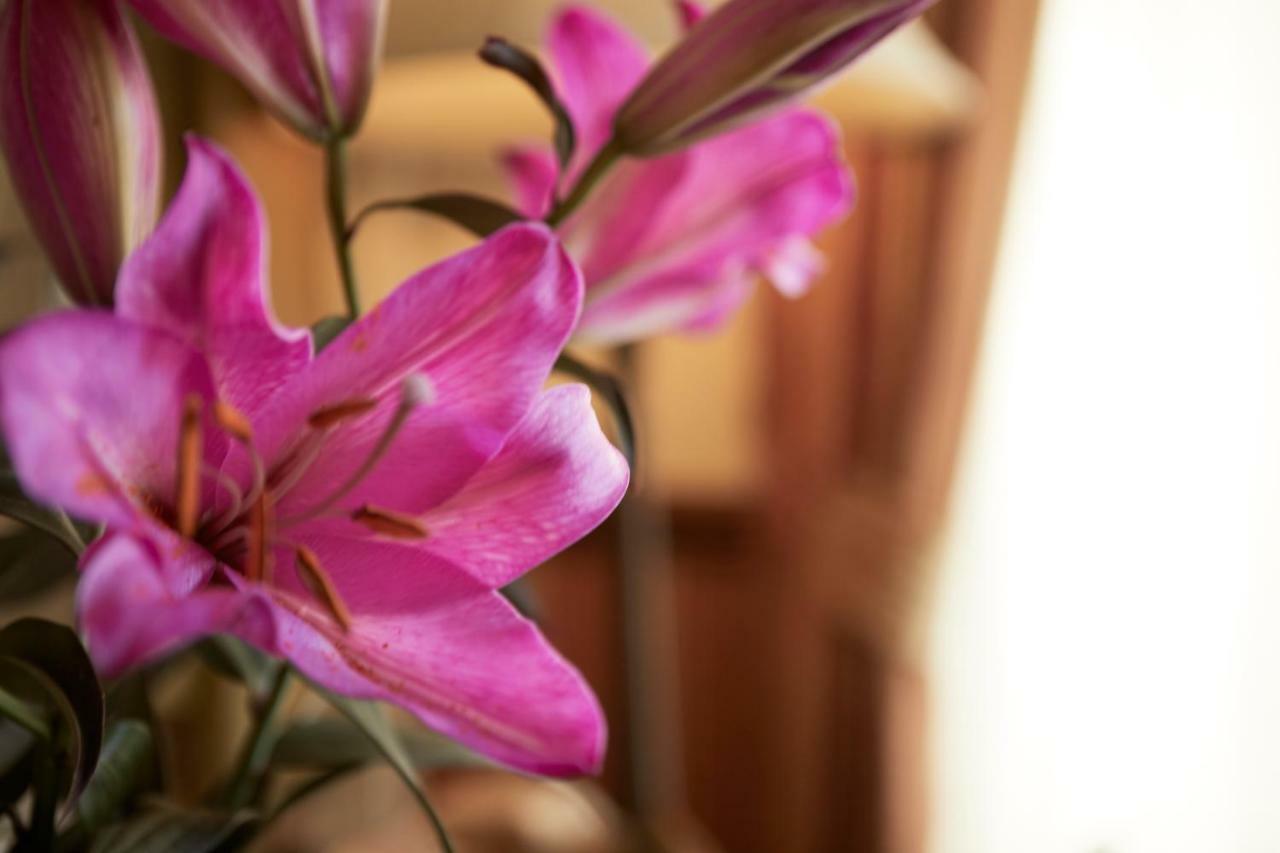 Ashburton House - B&B Скарборо Екстер'єр фото